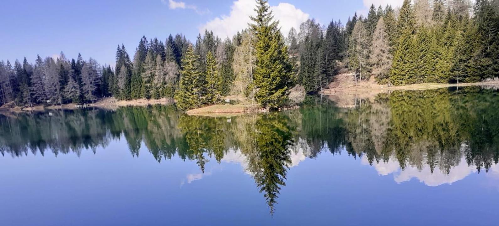 Appartamento La Regina Tret Номер фото